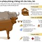 Một số biện pháp kỹ thuật nhằm phòng chống đói, rét cho trâu bò vụ Đông Xuân năm 2023- 2024 